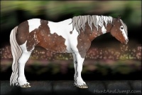 Horse Color:White Spotted Silver Brown Tobiano