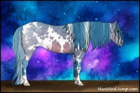 Horse Color:Watercolor White Spotted Bay 