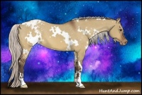 Horse Color:White Spotted Silver Brown Dun Varnish 