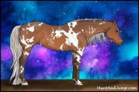 Horse Color:White Spotted Silver Brown