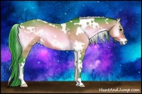 Horse Color:Watercolor White Spotted Bay Onyx