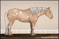Horse Color:White Spotted Silver Brown Pearl 