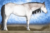 Horse Color:White Spotted Bay Roan
