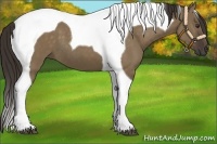 Horse Color:Liver Red Dun Tobiano 
