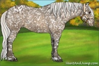 Horse Color:Silver Buckskin Snowflake Varnish 