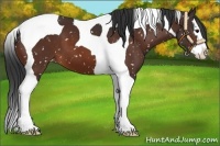 Horse Color:Bay Splash Tobiano Blanket 