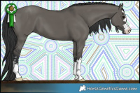 Horse Color:Grullo
