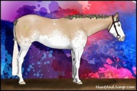 Horse Color:White Spotted Silver Bay Pearl Splash
