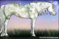 Horse Color:Watercolor Silver Brown Onyx Sabino 