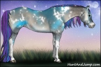 Horse Color:Painted White Spotted Blue Onyx Tobiano 