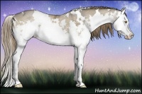 Horse Color:White Spotted Liver Red Dun Ice Splash