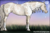Horse Color:White Spotted Chocolate Palomino Pearl Dun