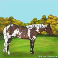 Horse Color:White Spotted Liver Chestnut Mushroom Rabicano 