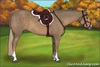 Horse Color:White Spotted Chocolate Palomino 