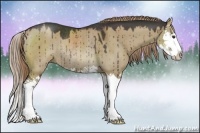 Horse Color:Liver Red Dun Sabino Splash Rabicano