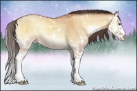 Horse Color:Sable Champagne Onyx Sabino Splash Brindle