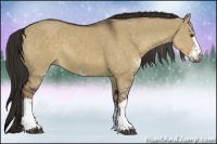 Horse Color:Liver Red Dun Sabino Rabicano