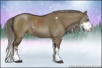 Horse Color:Liver Red Dun Sabino Splash Rabicano