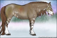 Horse Color:Liver Red Dun Sabino Rabicano