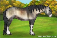 Horse Color:Brown Onyx