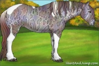 Horse Color:Nacre Chocolate Blue Onyx Chinchilla Ice Tobiano 