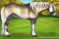 Horse Color:White Spotted Liver Red Onyx 