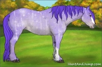 Horse Color:Watercolor Liver Chestnut Ice 