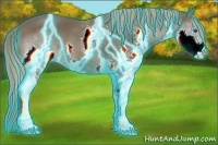 Horse Color:Thunderstruck Liver Chestnut Splash