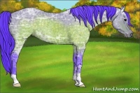 Horse Color:Watercolor Brown Ice 
