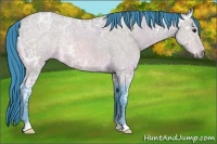 Horse Color:Watercolor Buckskin Ice Roan 