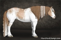 Horse Color:White Spotted Liver Chestnut Pearl Sabino Splash Rabicano