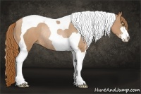 Horse Color:Chestnut Pearl Sabino Tobiano Rabicano