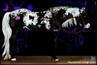 Horse Color:Watercolor White Spotted Silver Brown Chinchilla Onyx Splash 