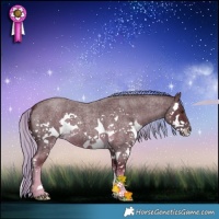 Horse Color:Chocolate Palomino Roan Splash 
