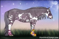 Horse Color:Chocolate Palomino Roan Splash 