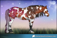 Horse Color:Bay Sabino Splash Tobiano 
