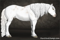 Horse Color:Silver Brown Pearl Sabino Rabicano