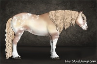 Horse Color:Red Onyx Pearl Sabino