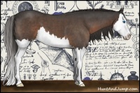 Horse Color:Liver Red Roan Splash