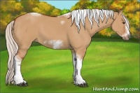 Horse Color:Silver Bay Dun Sabino Tobiano Frame Rabicano