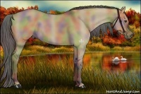 Horse Color:Nacre Liver Red Dun
