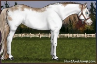 Horse Color:Chestnut Splash Frame Rabicano 