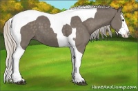 Horse Color:Silver Smoky Black Splash Tobiano 