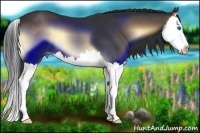 Horse Color:Brown Onyx Splash