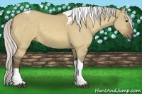 Horse Color:Silver Buckskin Dun Tobiano