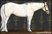 Horse Color:Silver Amber Champagne Roan Dun Splash Tobiano Frame Appaloosa Rabicano 