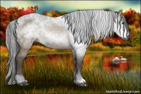 Horse Color:Gray Brown Dun 
