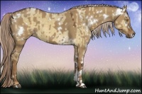 Horse Color:Chocolate Palomino Dun Tobiano  and White Spotted Chocolate Palomino Dun Rabicano 