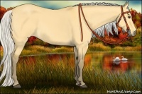 Horse Color:Silver Buckskin Dun 