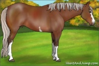 Horse Color:White Spotted Silver Bay